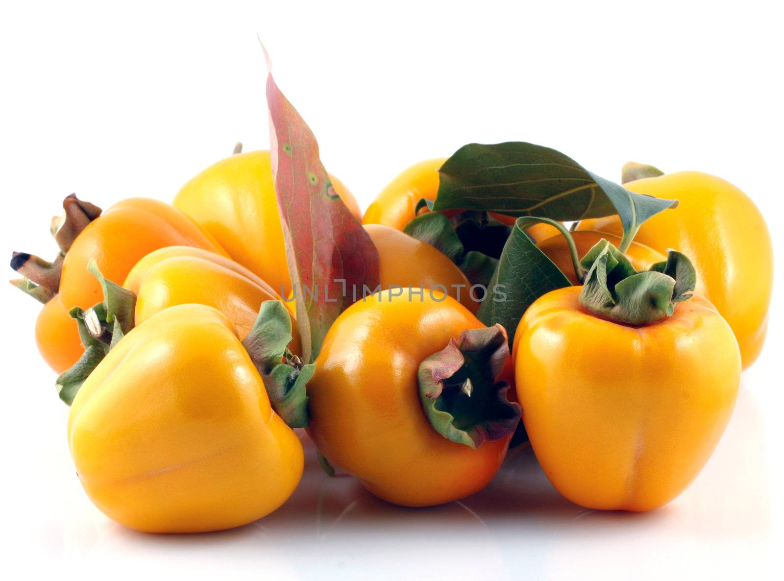 Persimmon