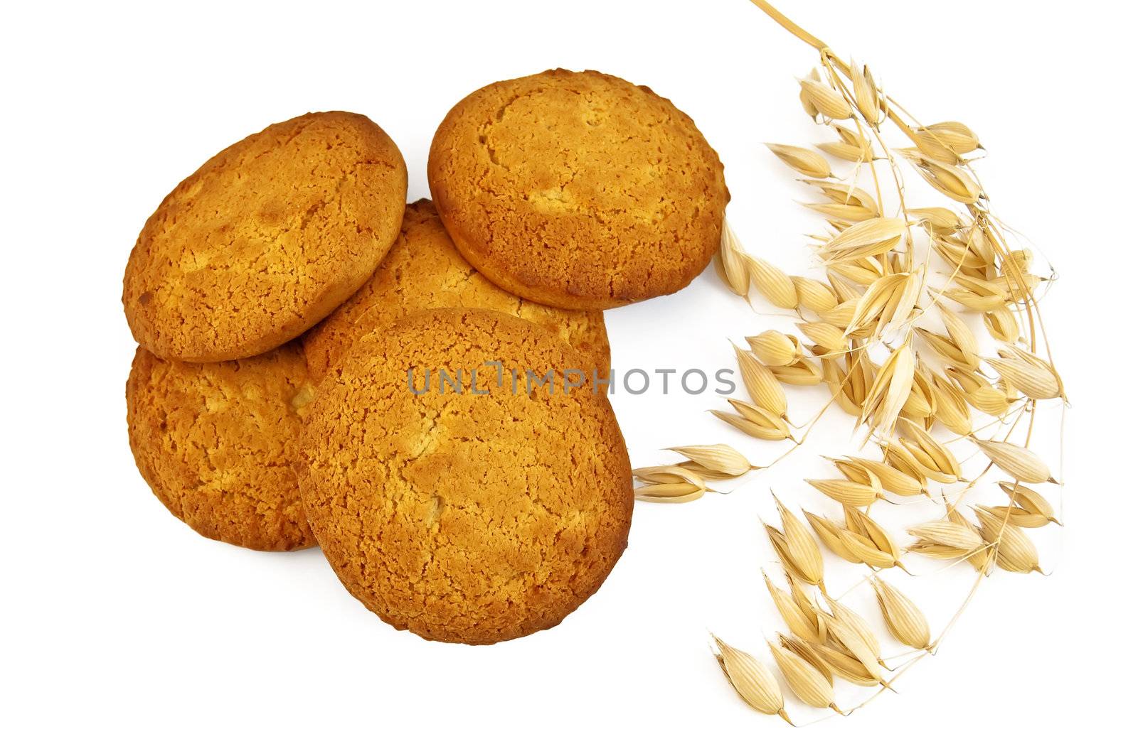 Pile of oatmeal cookies with a stem of oats is isolated on a white background