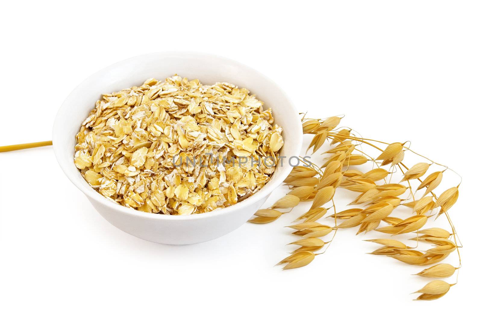 Rolled oats in a bowl, the stem of ripe oats is isolated on a white background