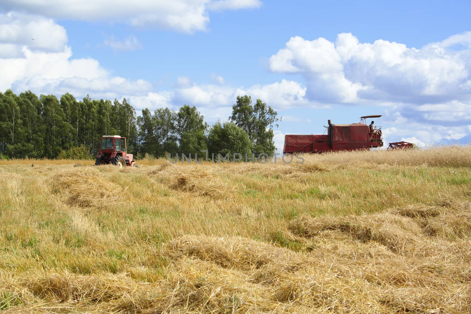 combine harvester in track of work gatherings of cereal