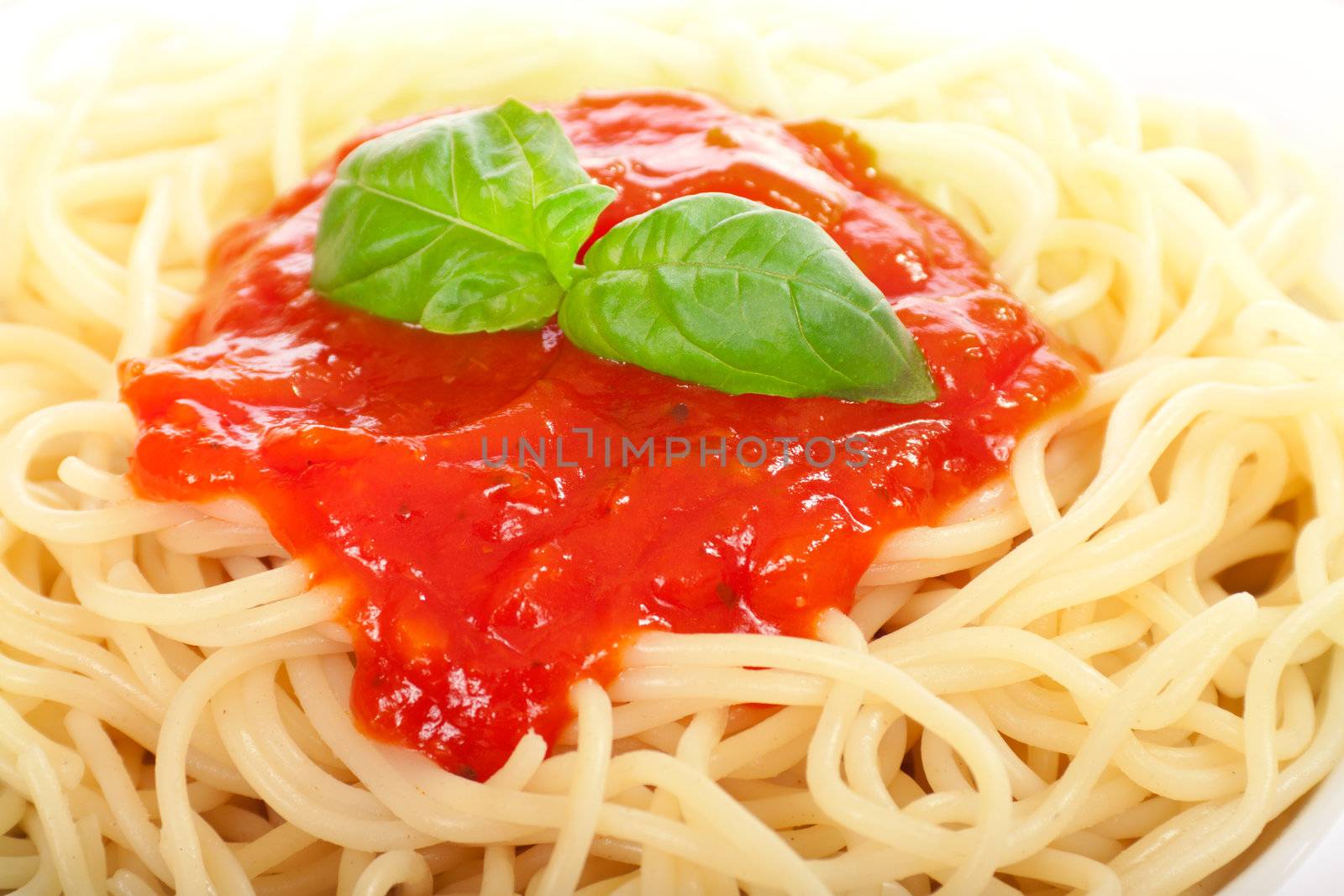 spaghetti with bolognese sauce, a macro shot of the finished dishes