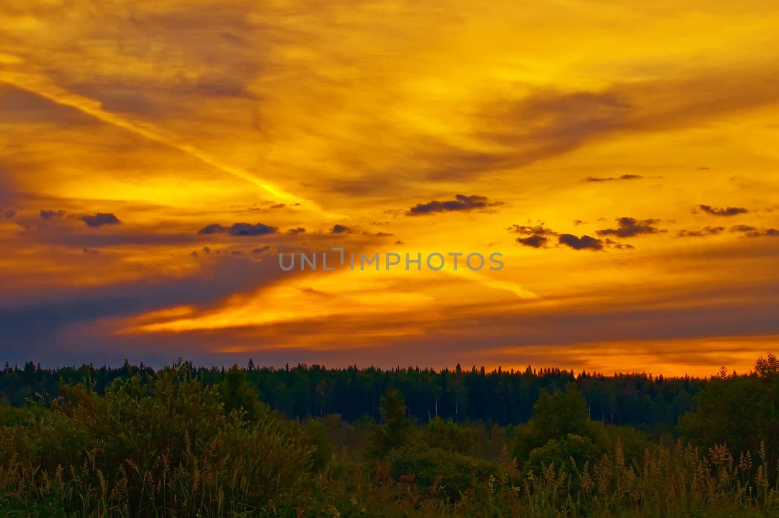 A beautiful sunrise, clouds, painted in red, orange, trees, forest
