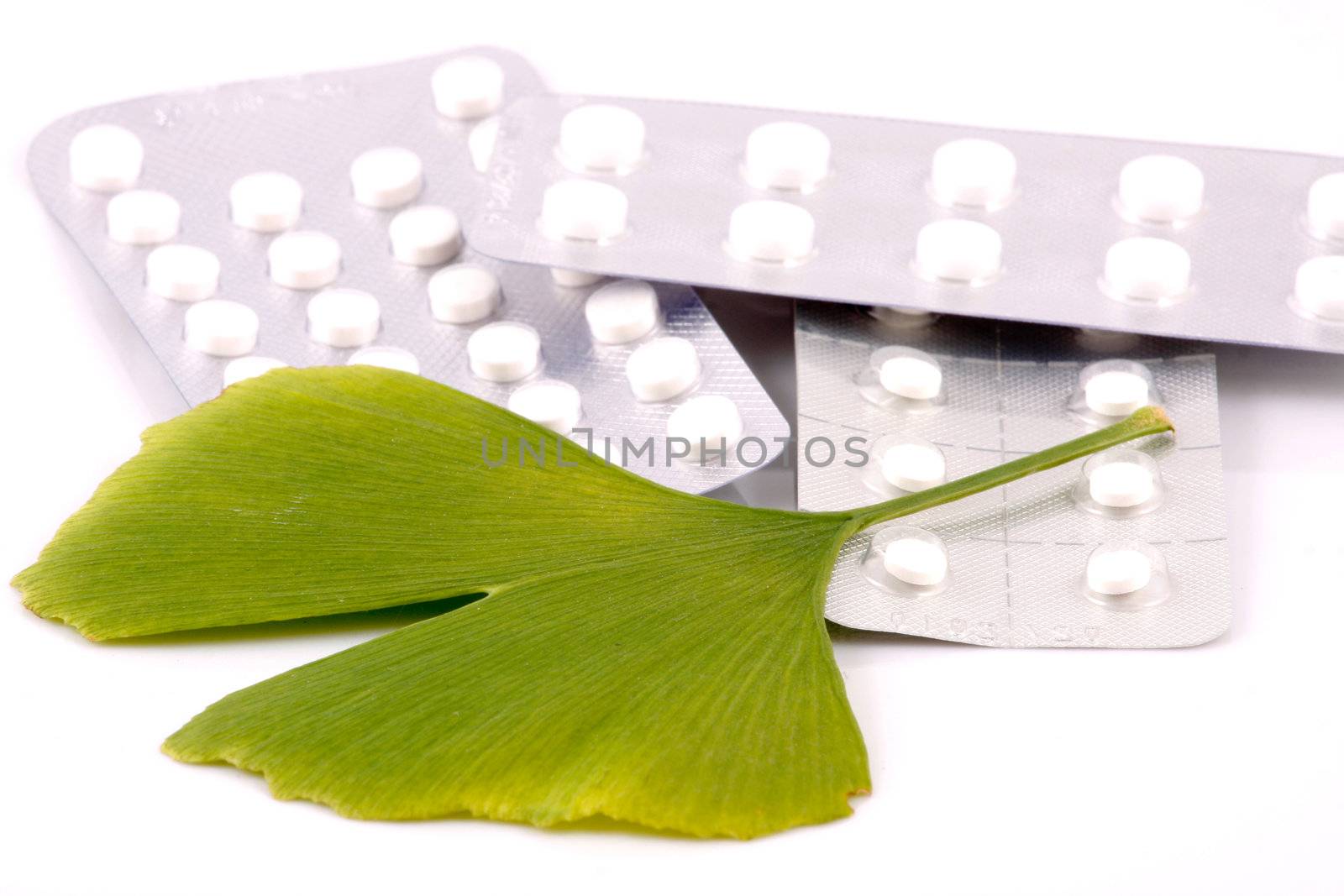Ginkgo biloba