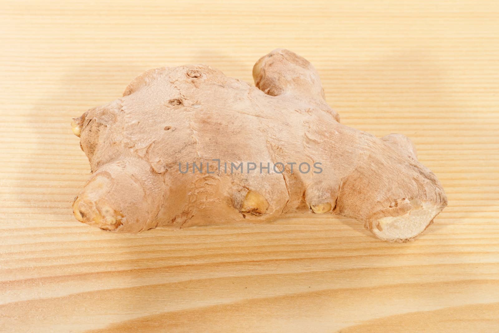 ginger root by aguirre_mar