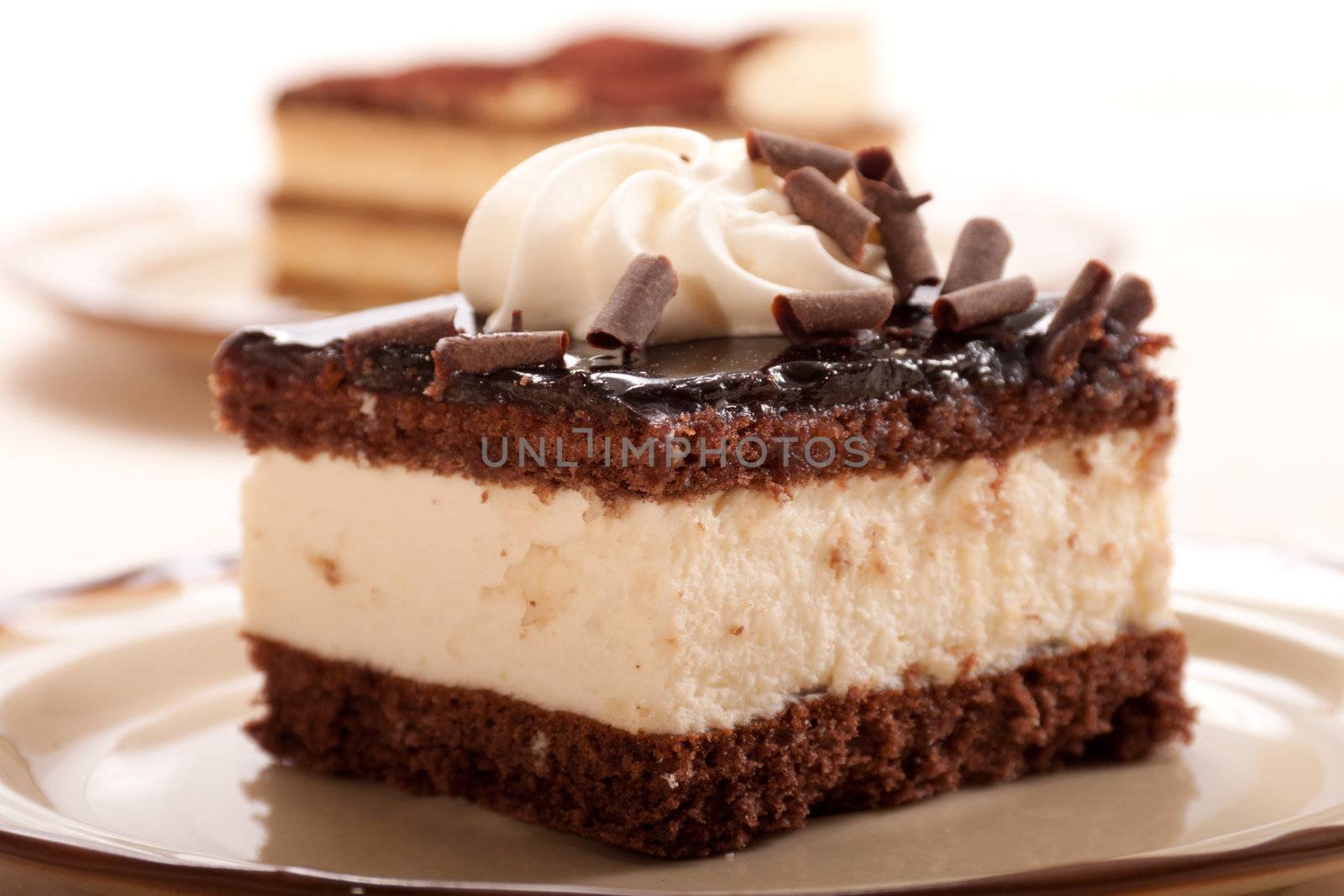 Slice of chocolate cream cake, on a plate