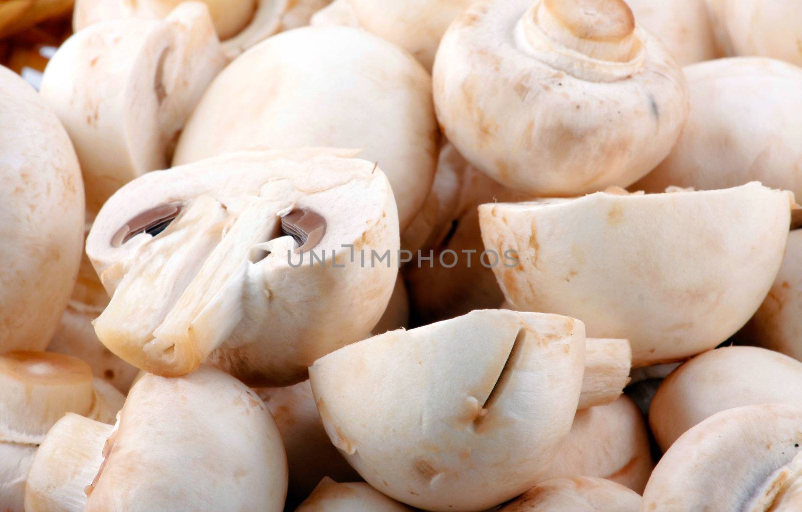 Fresh mushroom