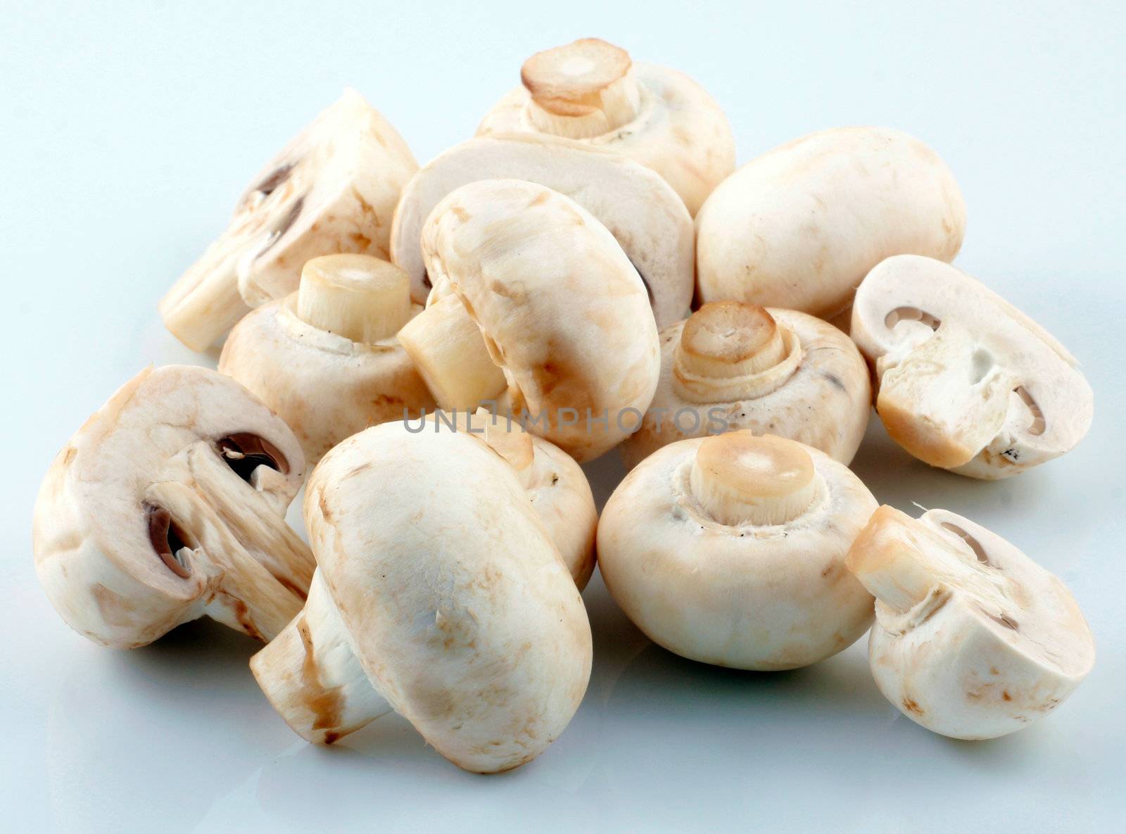 Fresh mushroom