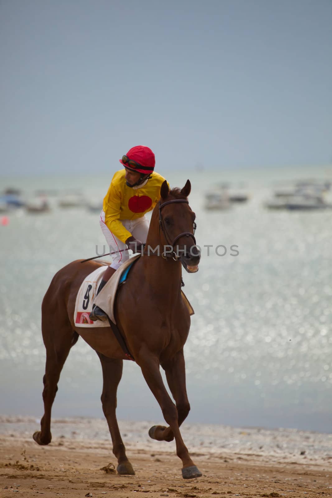 SANLUCAR DE BARRAMEDA, CADIZ, SPAIN - AUGUST 07: Unidentified riders at the start of race horses on Sanlucar de Barrameda beach on  August 07, 2010 in Sanlucar de Barrameda, Cadiz, Spain.
