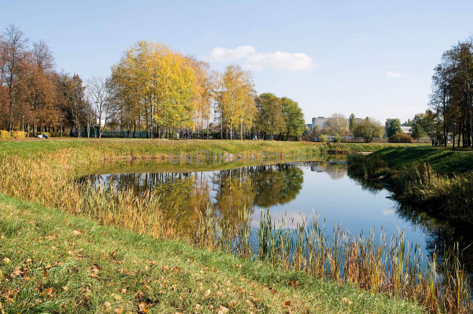 The little lake in the autumn park