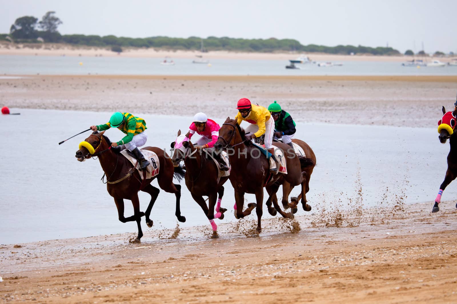 SANLUCAR DE BARRAMEDA, CADIZ, SPAIN - AUGUST 07: Unidentified riders at the start of race horses on Sanlucar de Barrameda beach on  August 07, 2010 in Sanlucar de Barrameda, Cadiz, Spain.