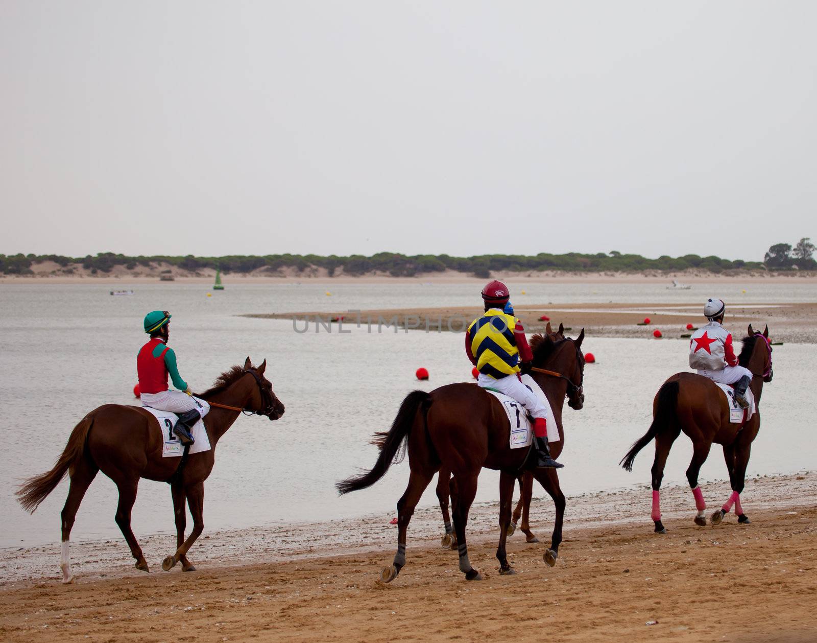 SANLUCAR DE BARRAMEDA, CADIZ, SPAIN - AUGUST 07: Unidentified riders at the start of race horses on Sanlucar de Barrameda beach on  August 07, 2010 in Sanlucar de Barrameda, Cadiz, Spain.