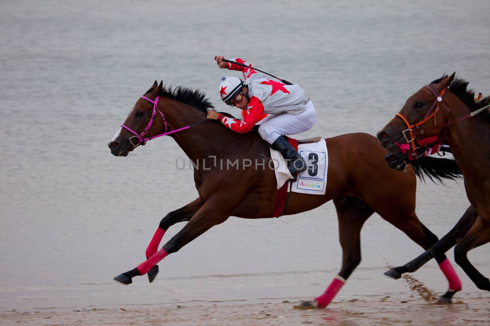 SANLUCAR DE BARRAMEDA, CADIZ, SPAIN - AUGUST 07: Unidentified riders at the start of race horses on Sanlucar de Barrameda beach on  August 07, 2010 in Sanlucar de Barrameda, Cadiz, Spain.