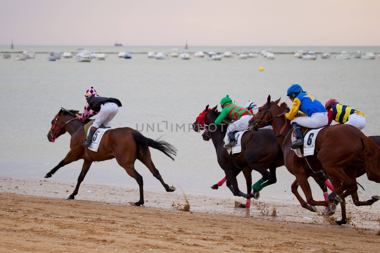 SANLUCAR DE BARRAMEDA, CADIZ, SPAIN - AUGUST 07: Unidentified riders at the start of race horses on Sanlucar de Barrameda beach on  August 07, 2010 in Sanlucar de Barrameda, Cadiz, Spain.