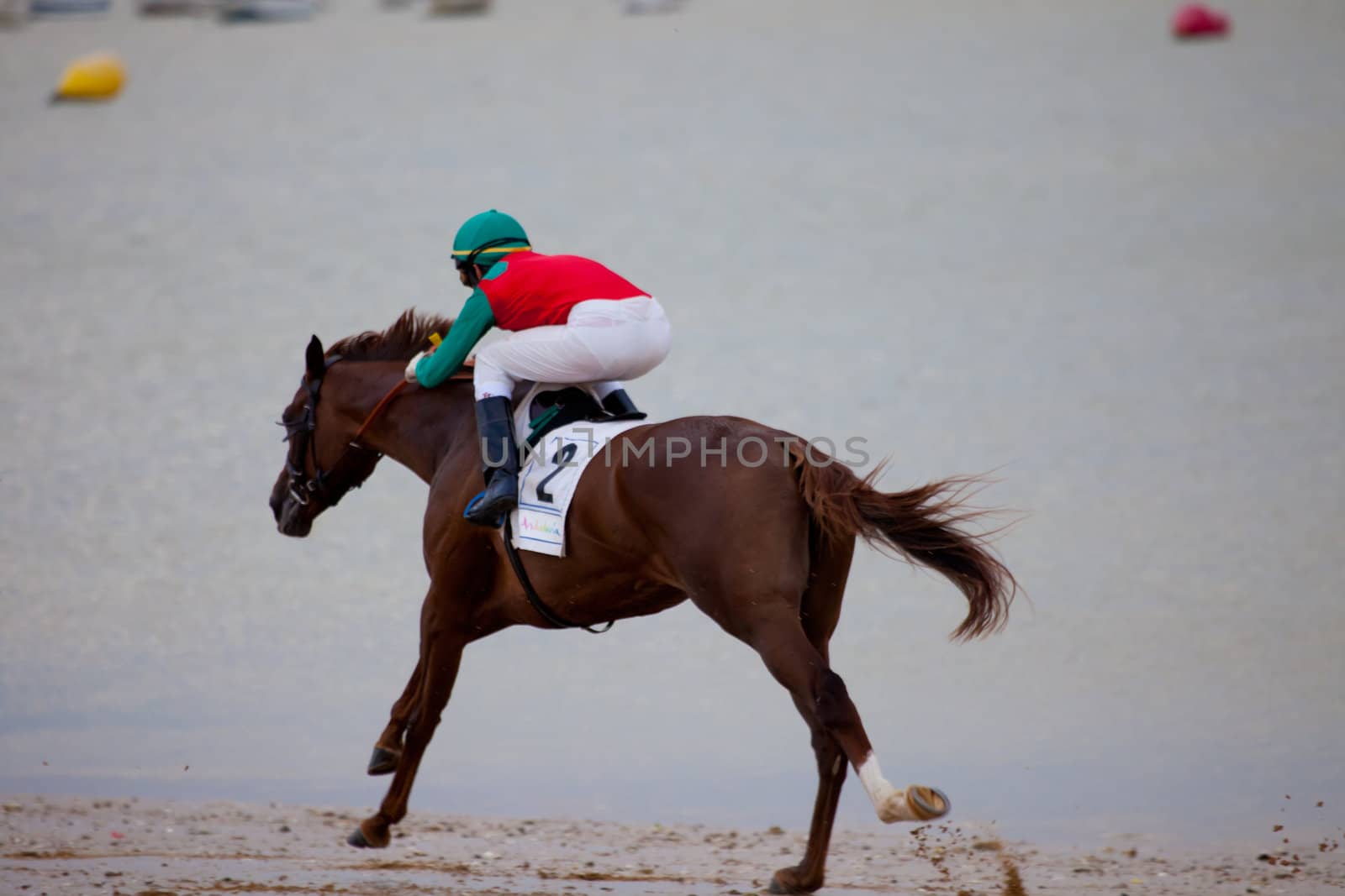 SANLUCAR DE BARRAMEDA, CADIZ, SPAIN - AUGUST 07: Unidentified riders at the start of race horses on Sanlucar de Barrameda beach on  August 07, 2010 in Sanlucar de Barrameda, Cadiz, Spain.