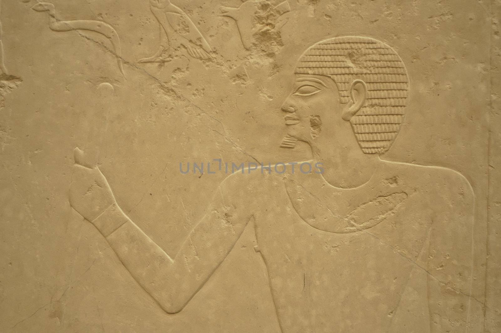 Ancient Egypt hieroglyph writing and sign on stone wall