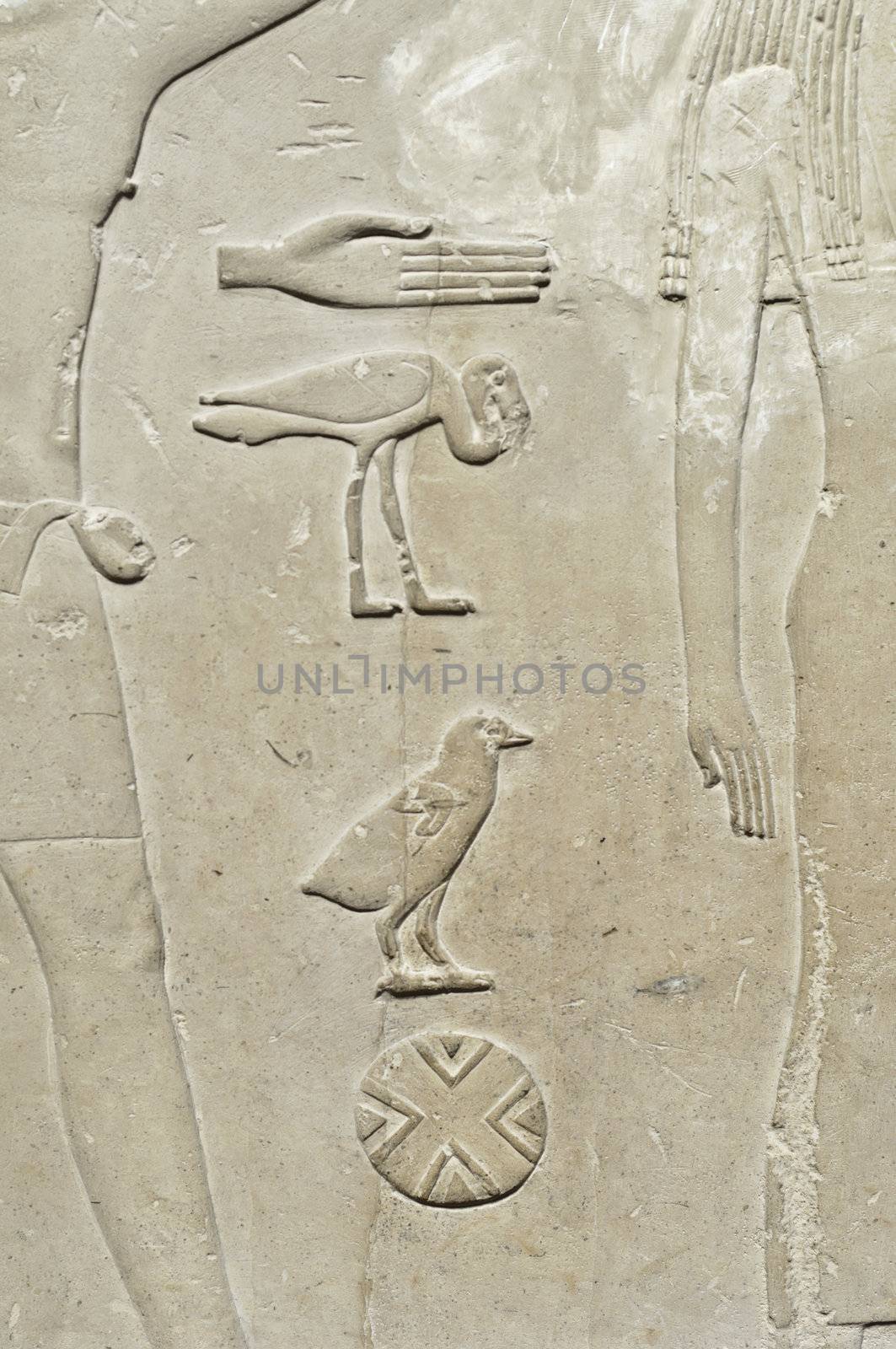 Ancient Egypt hieroglyph writing and sign on stone wall