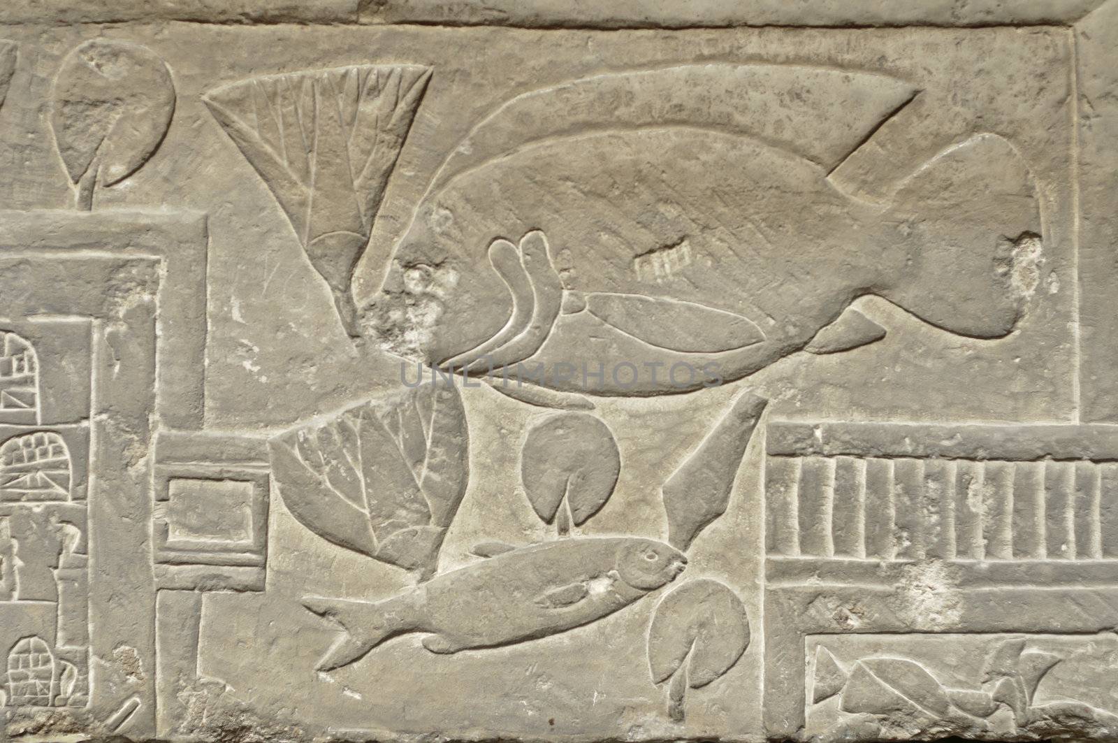 Ancient Egypt hieroglyph writing and sign on stone wall