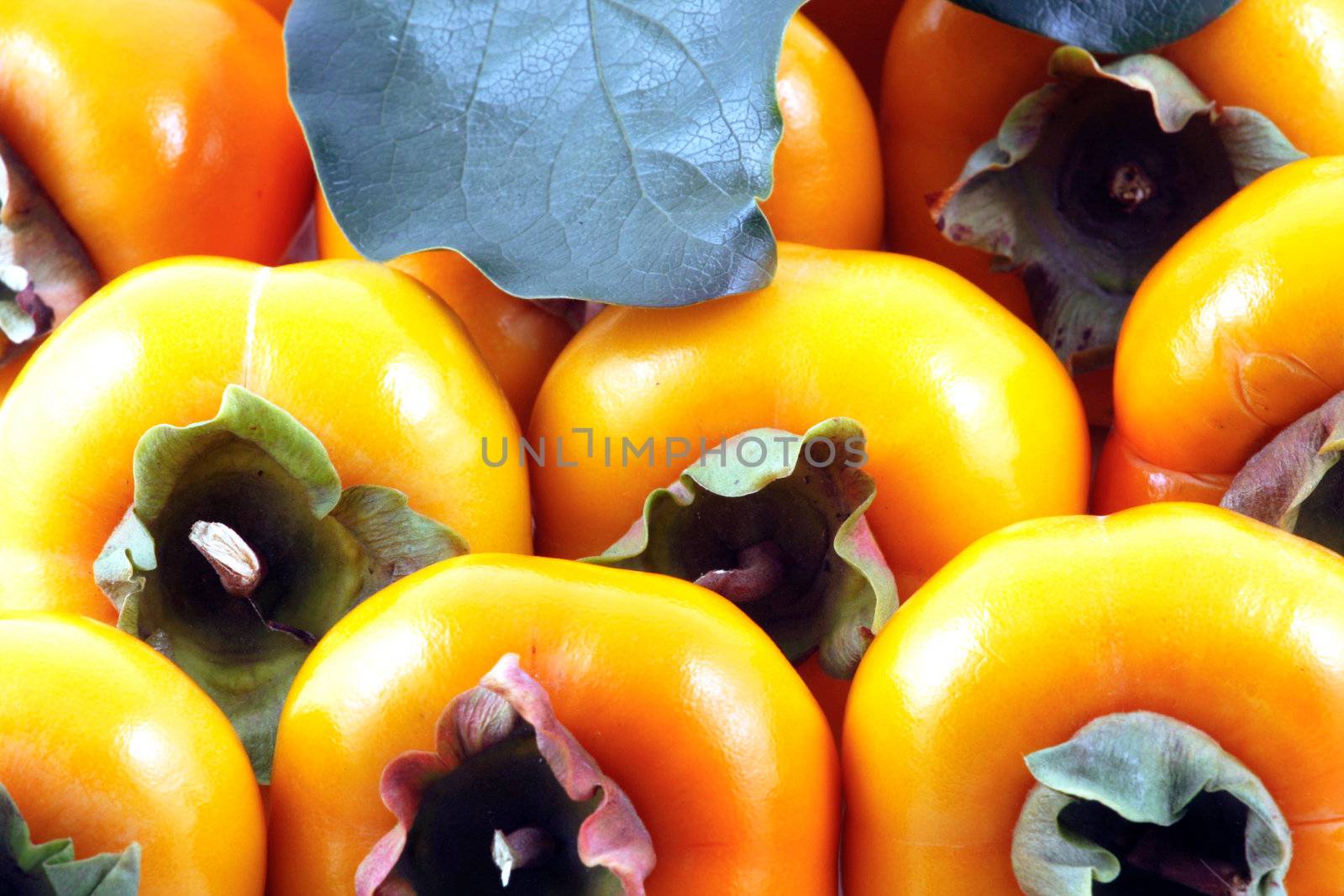 Persimmon