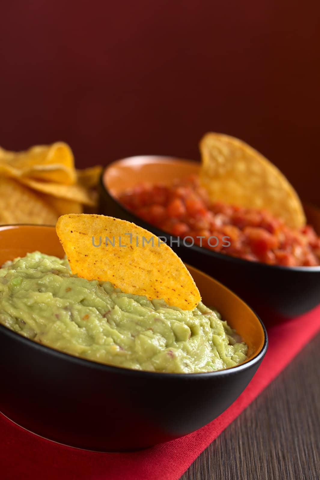 Fresh homemade guacamole, a Mexican sauce made of mainly avocado cream with a nacho on top with tomato sauce in the back (Selective Focus, Focus on the nacho in the guacamole)