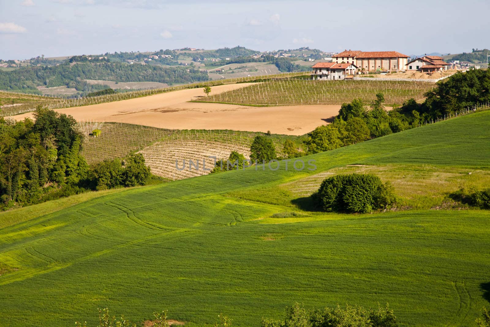 Landscape of Monferrato area in Piedmont region - Italy