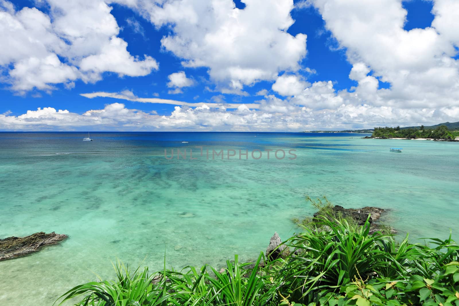 beautiful sea