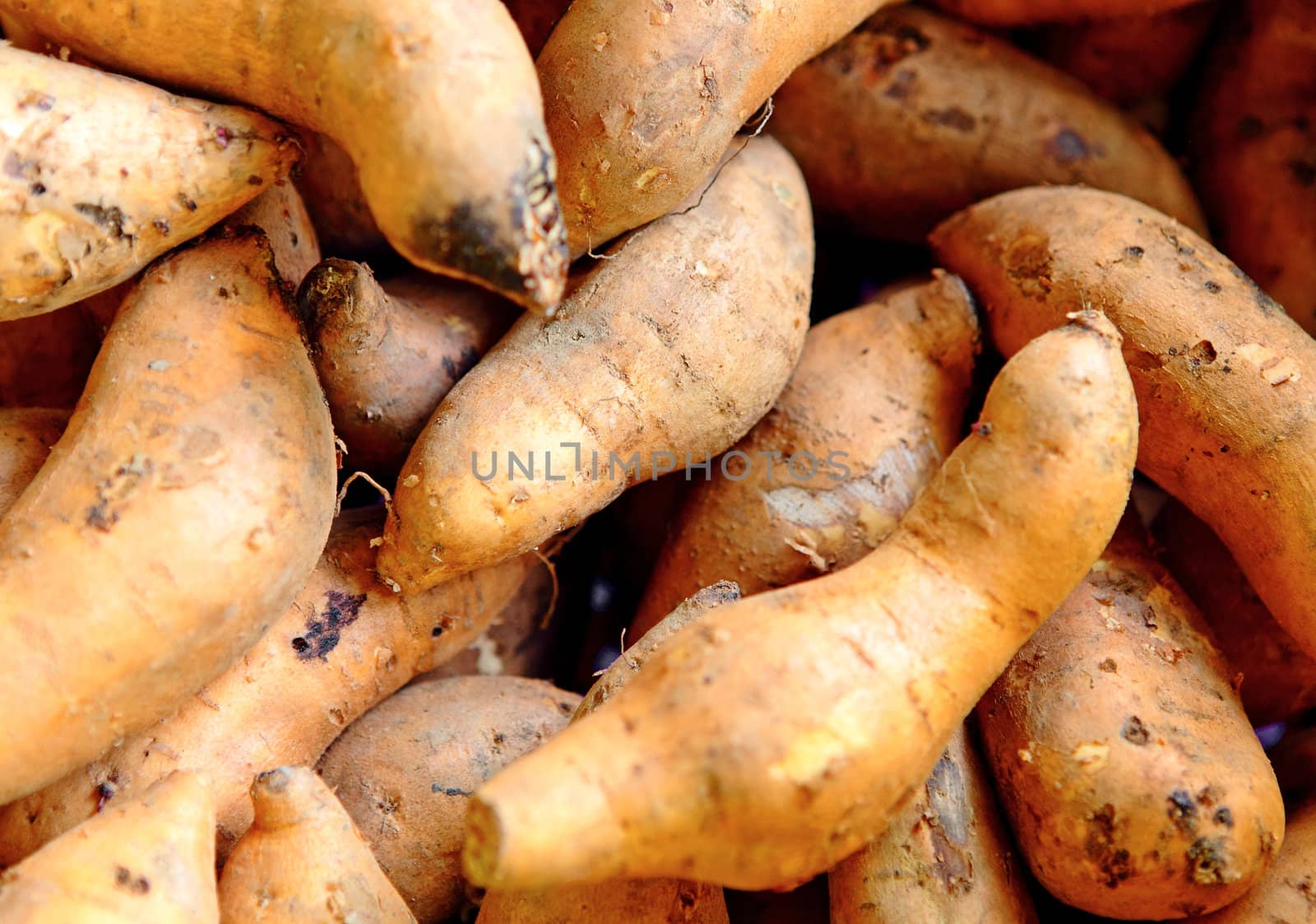 Organic sweet potatoes at market