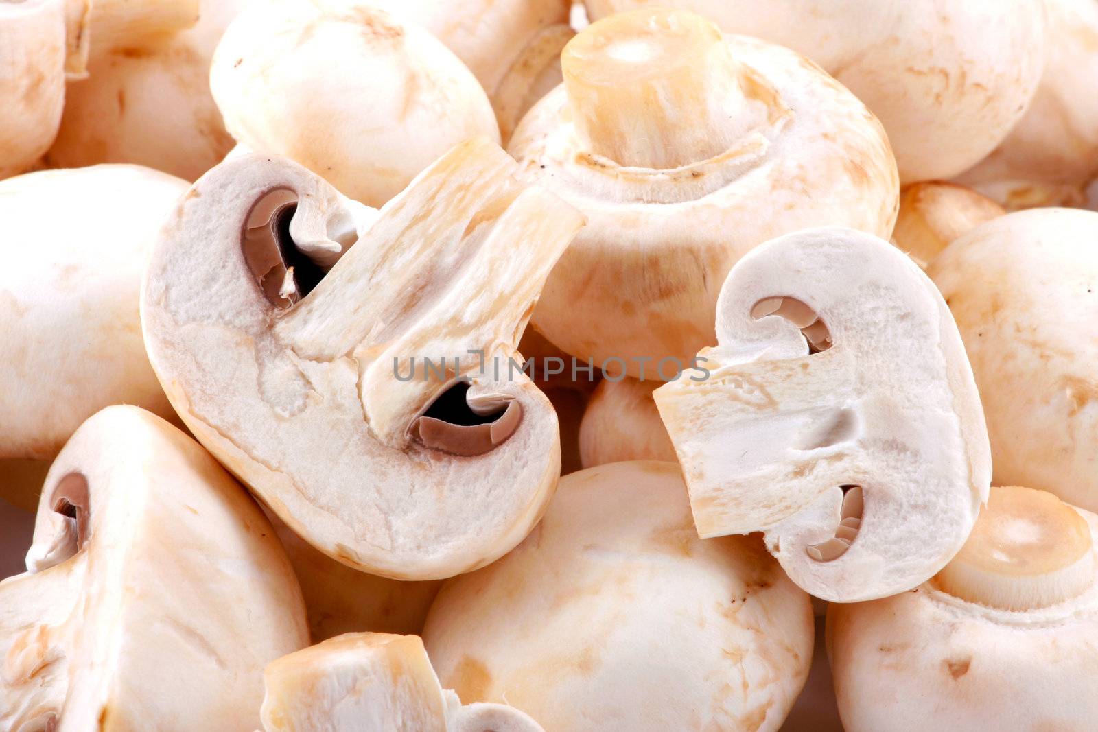 Fresh mushroom