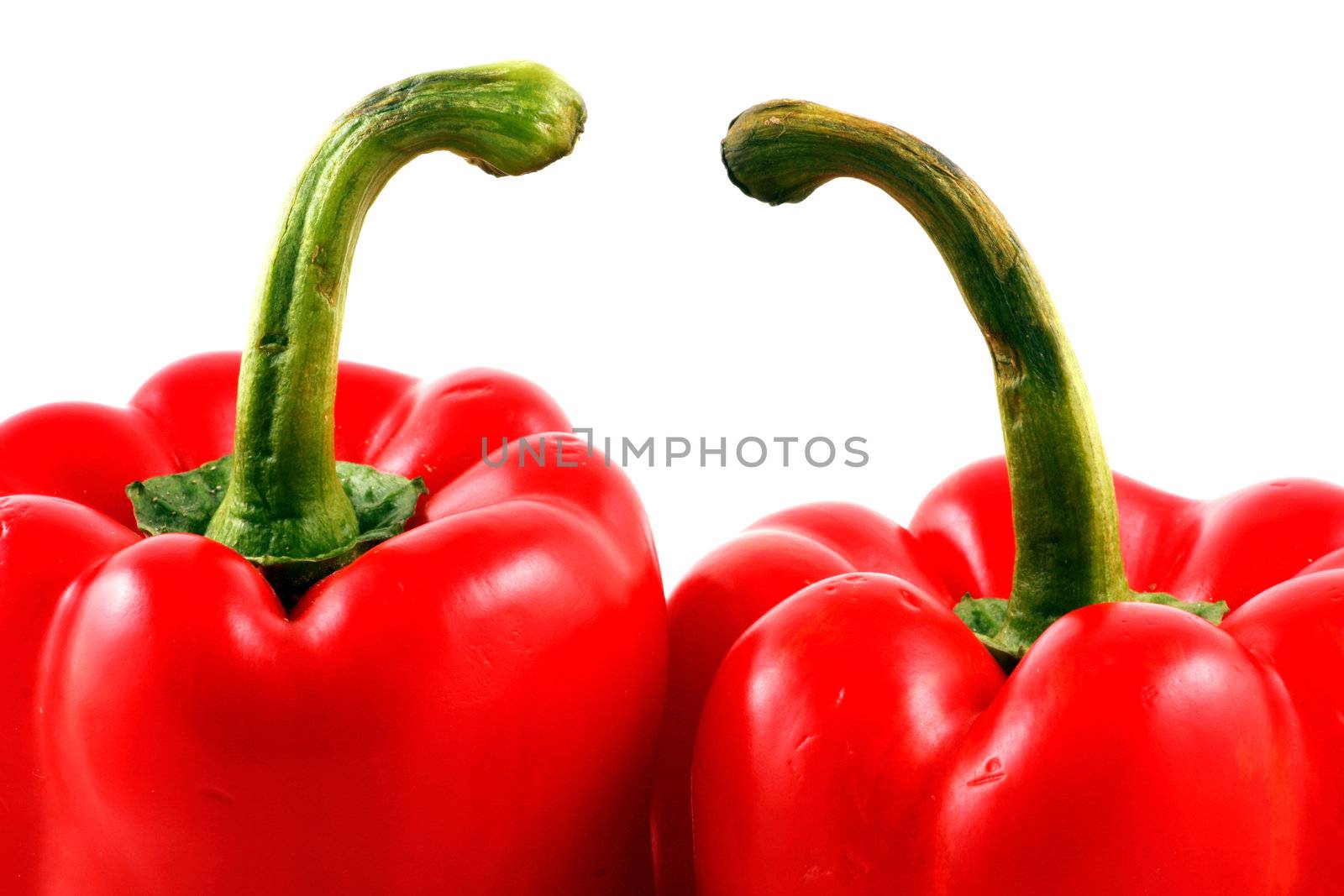 Peppers on white background