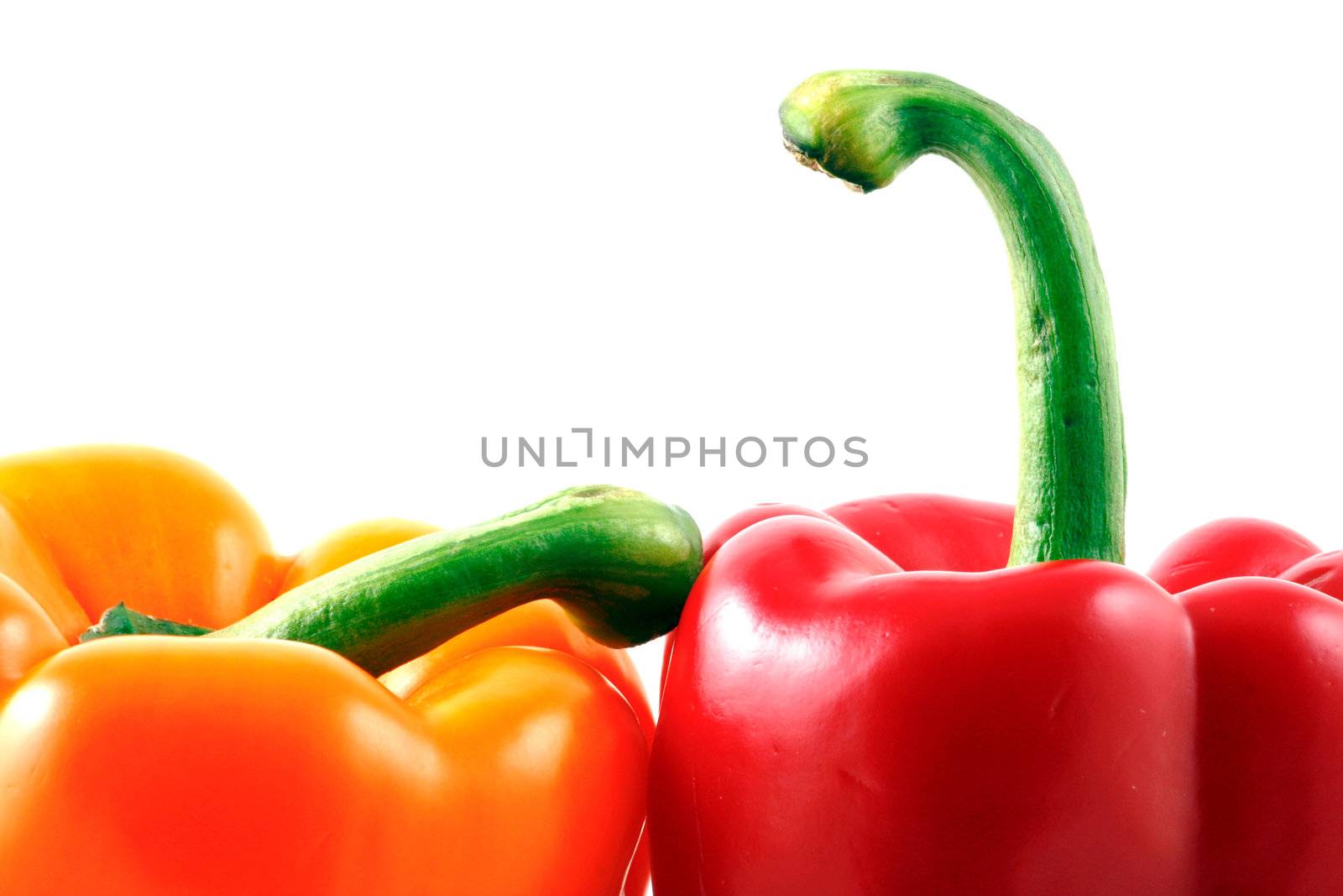 Peppers on white background