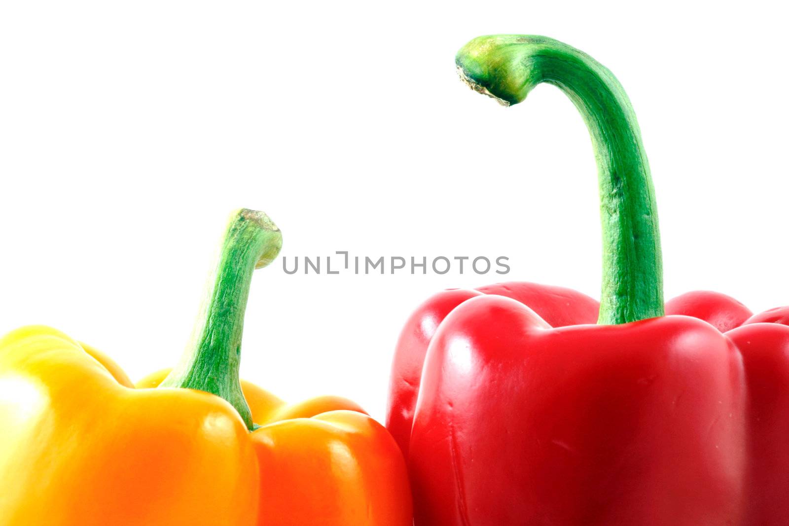 Peppers on white background