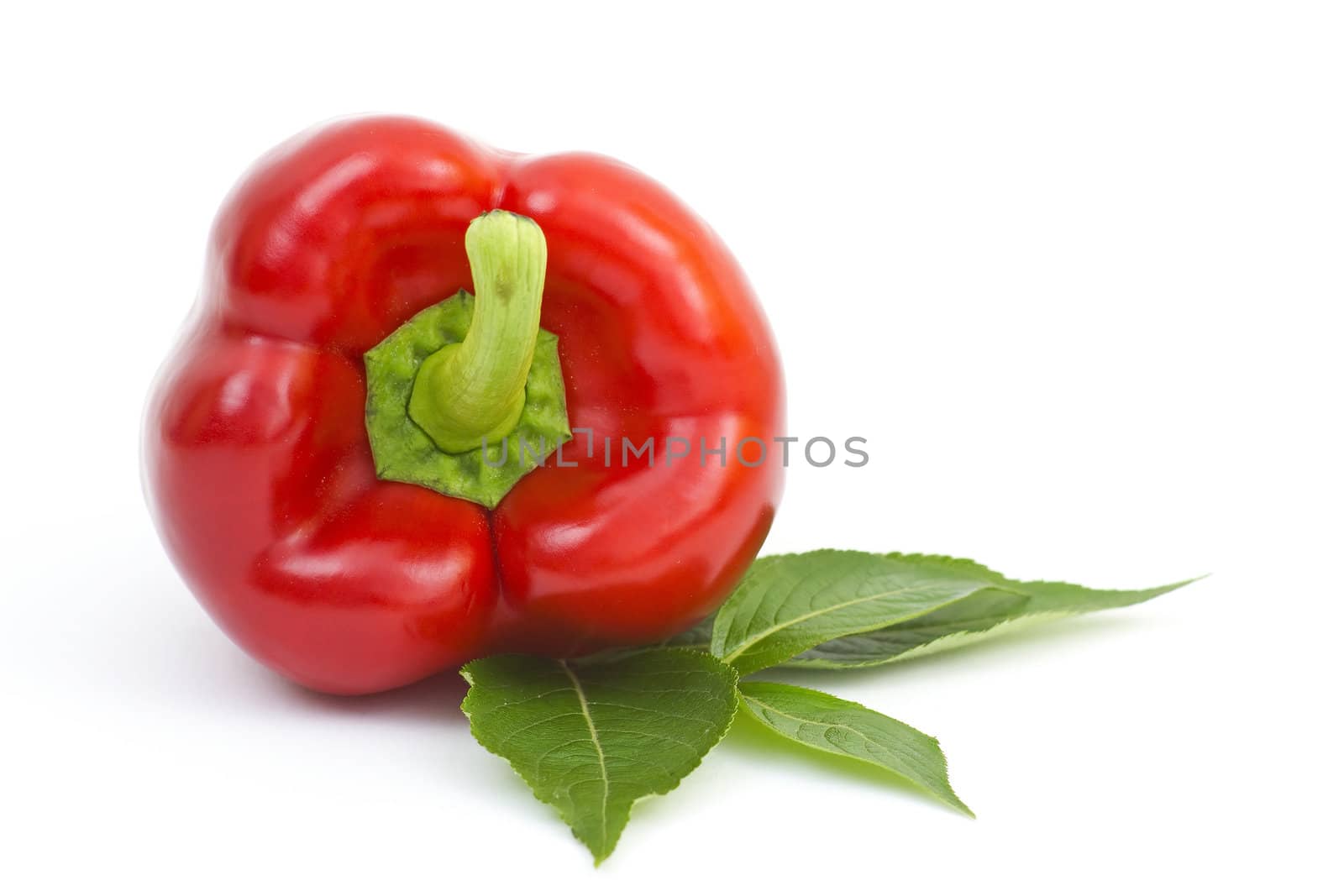 fresh pepper