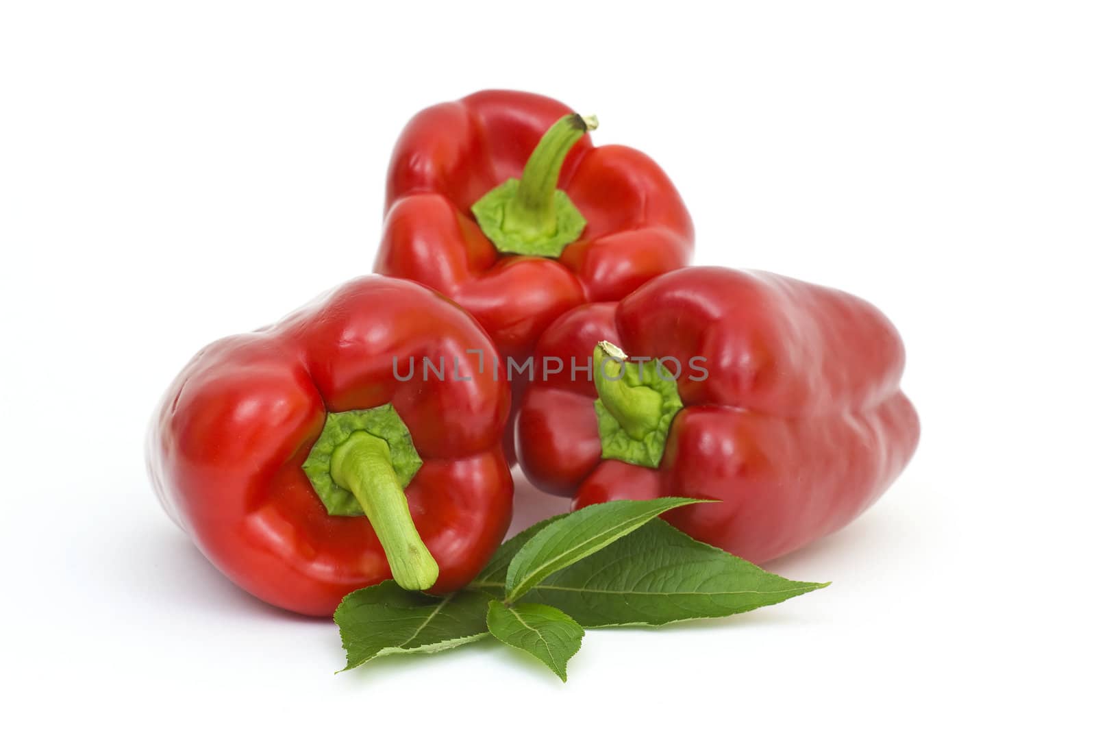 fresh peppers