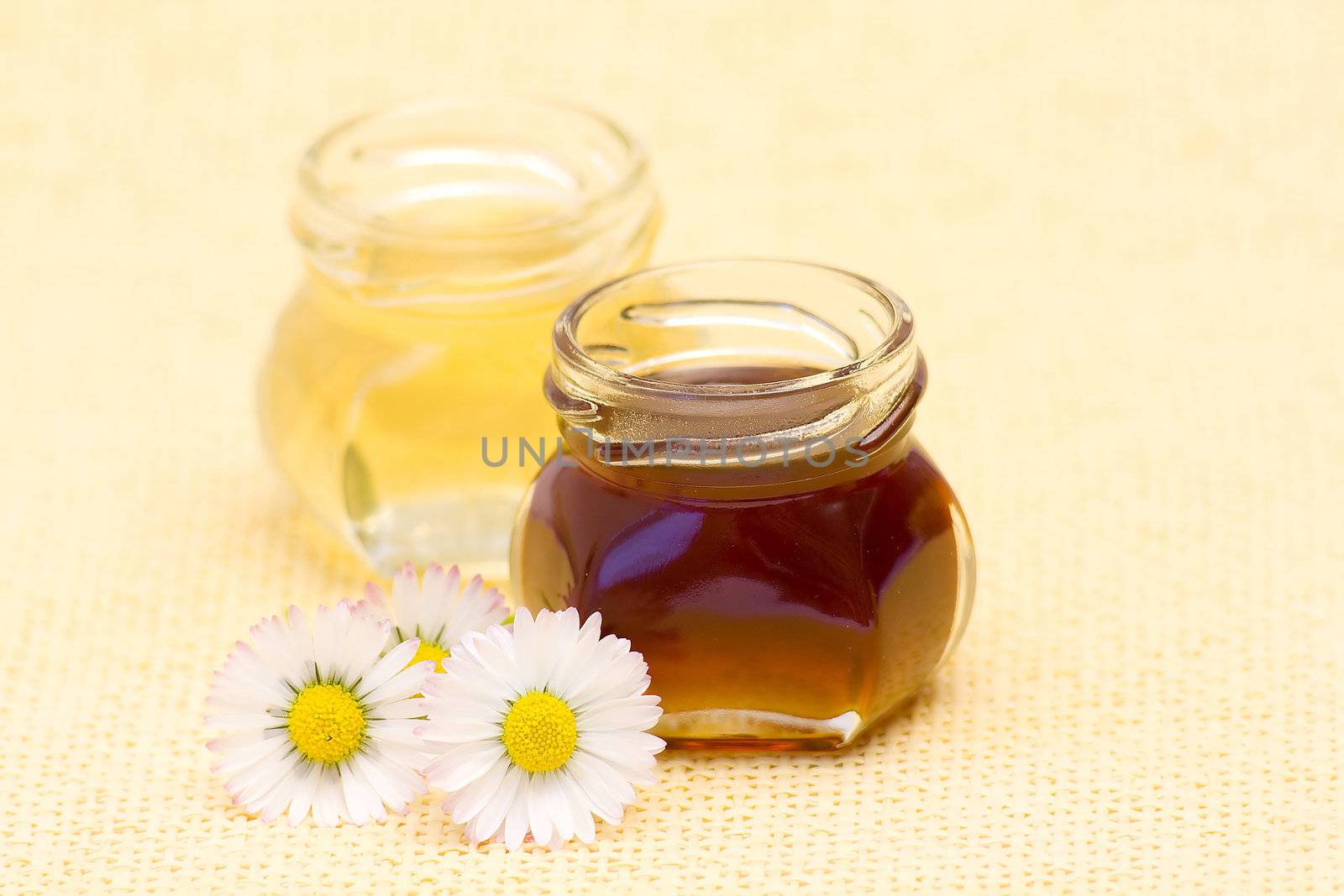 honey and daisies