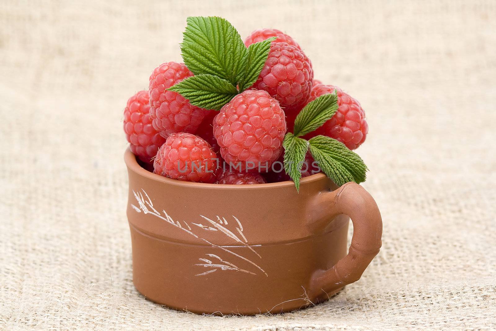 fresh raspberries