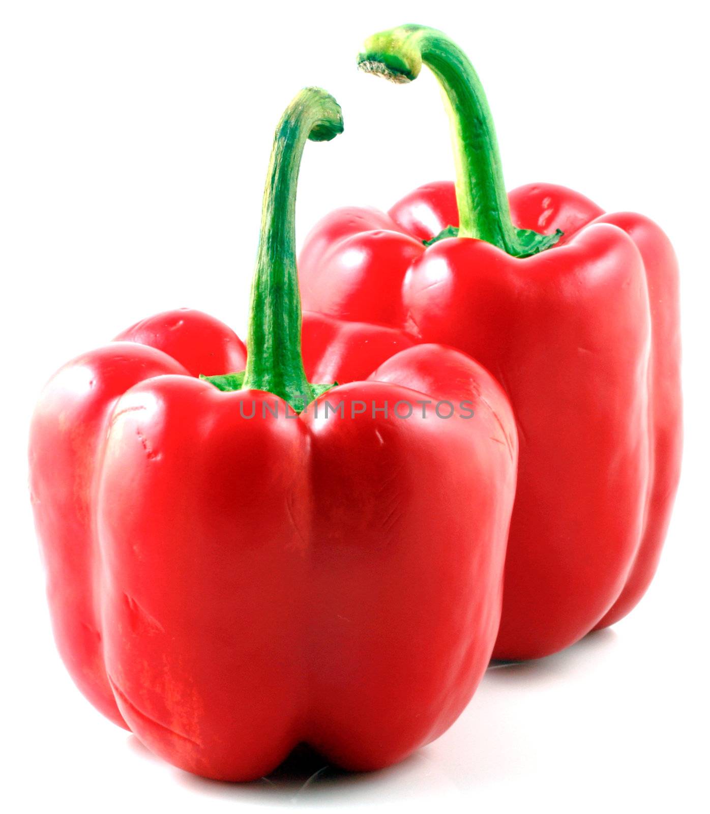 Peppers on white background