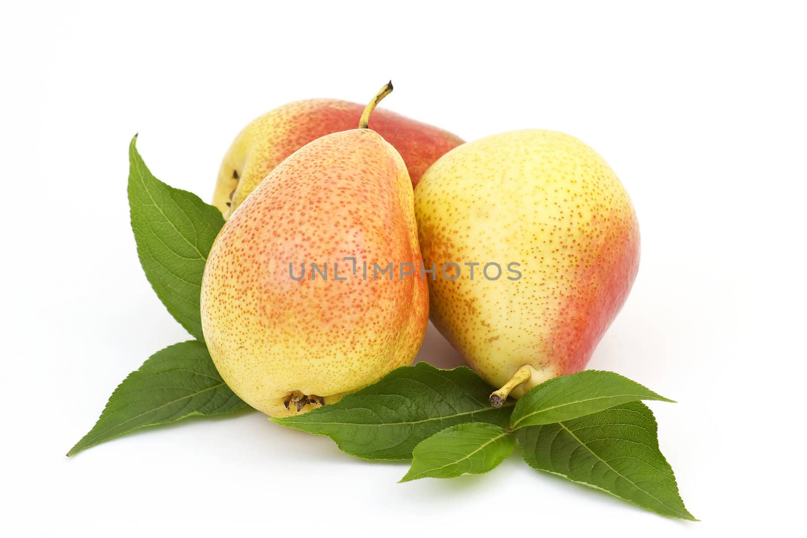 fresh pears isolated on white