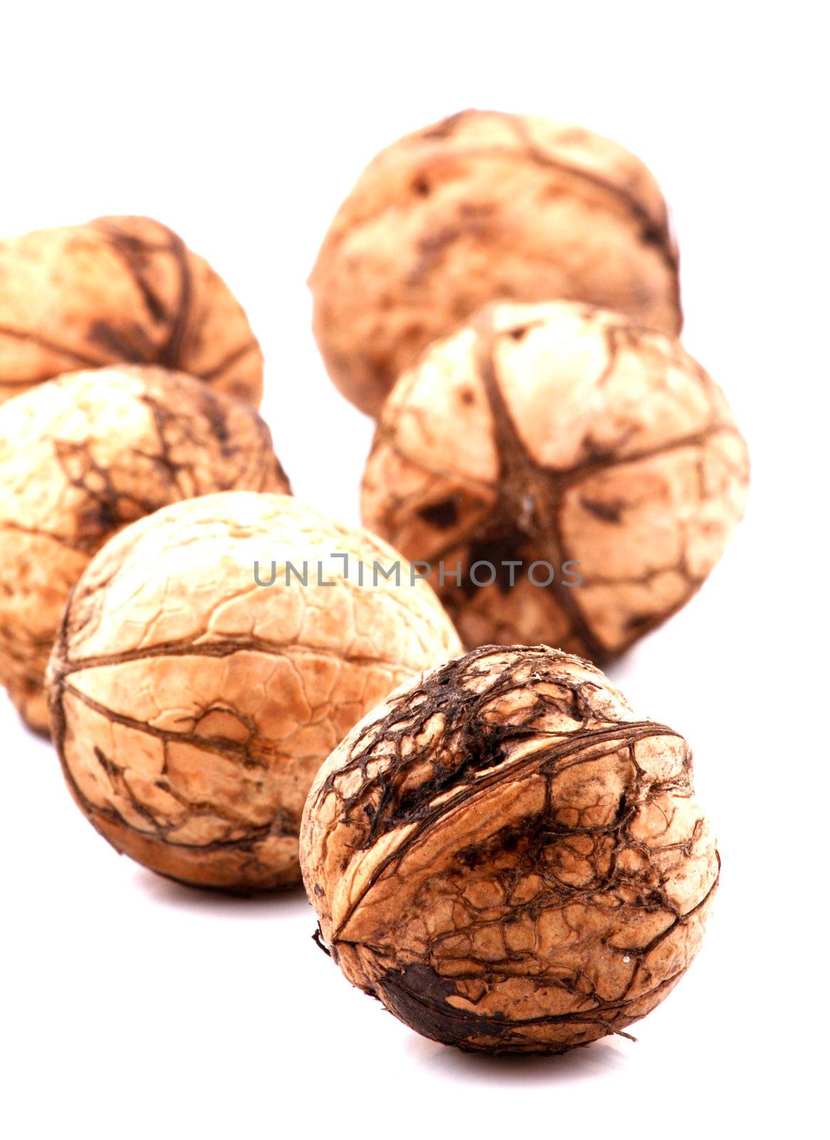 Walnuts isolated on white background