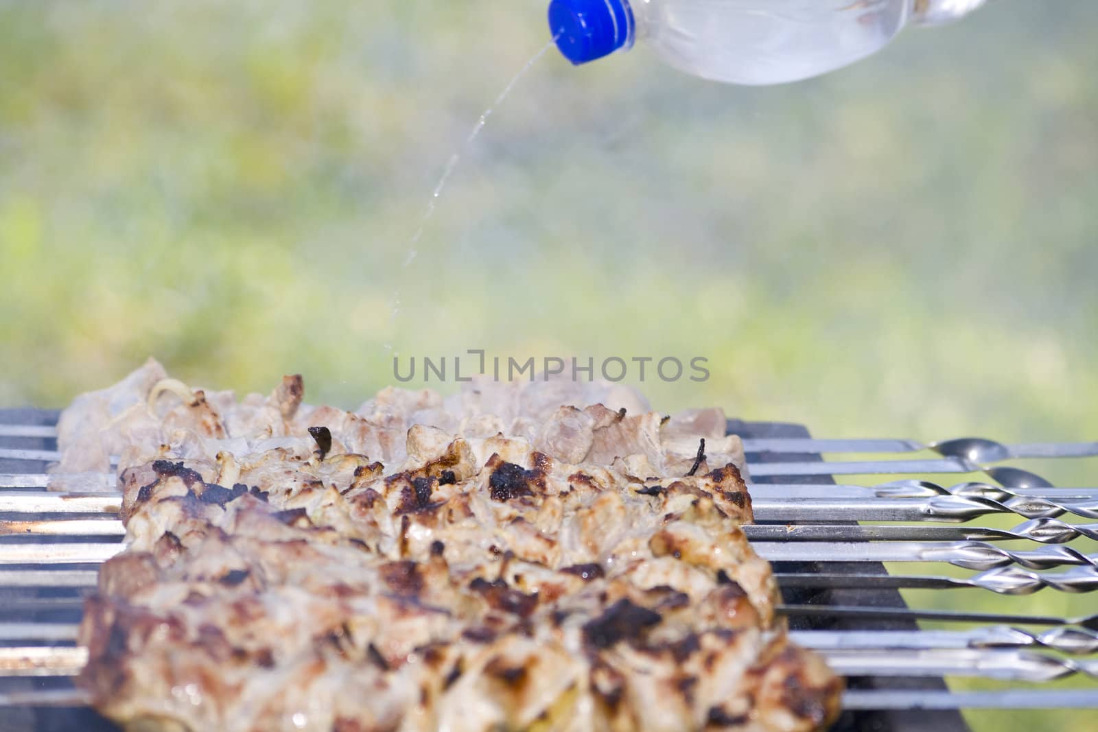 Shish kebab on the grill by Dan70