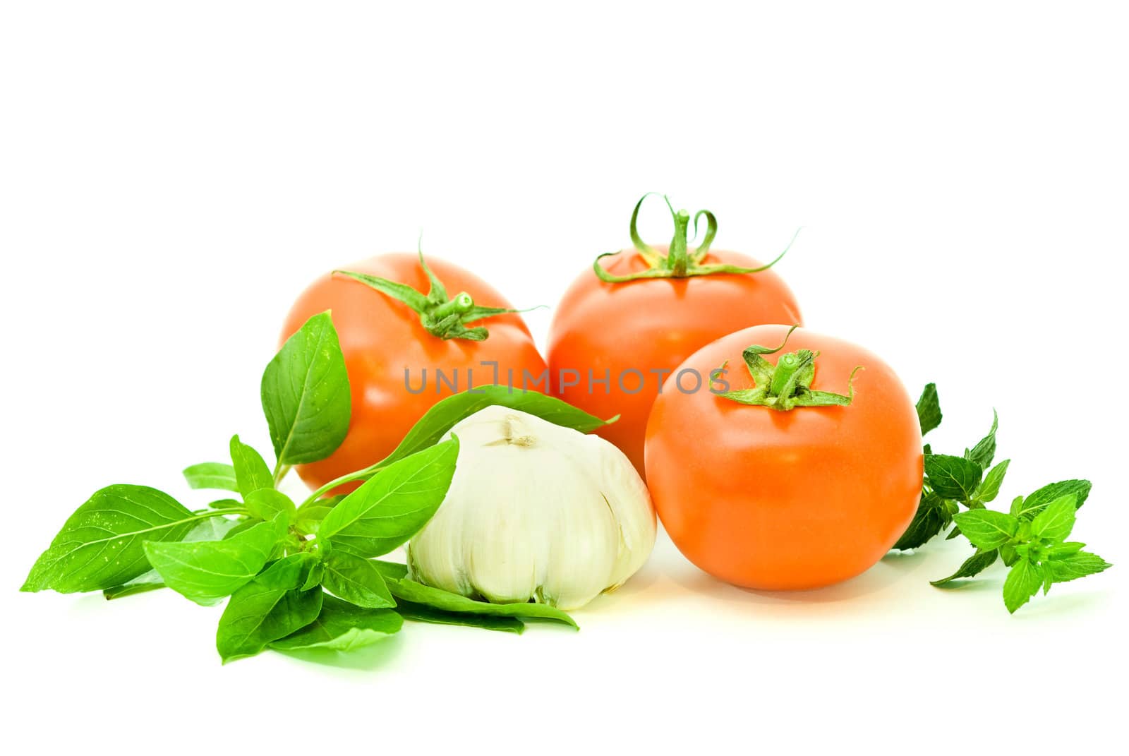 ripe fresh vegetables with two kinds of basilico over white