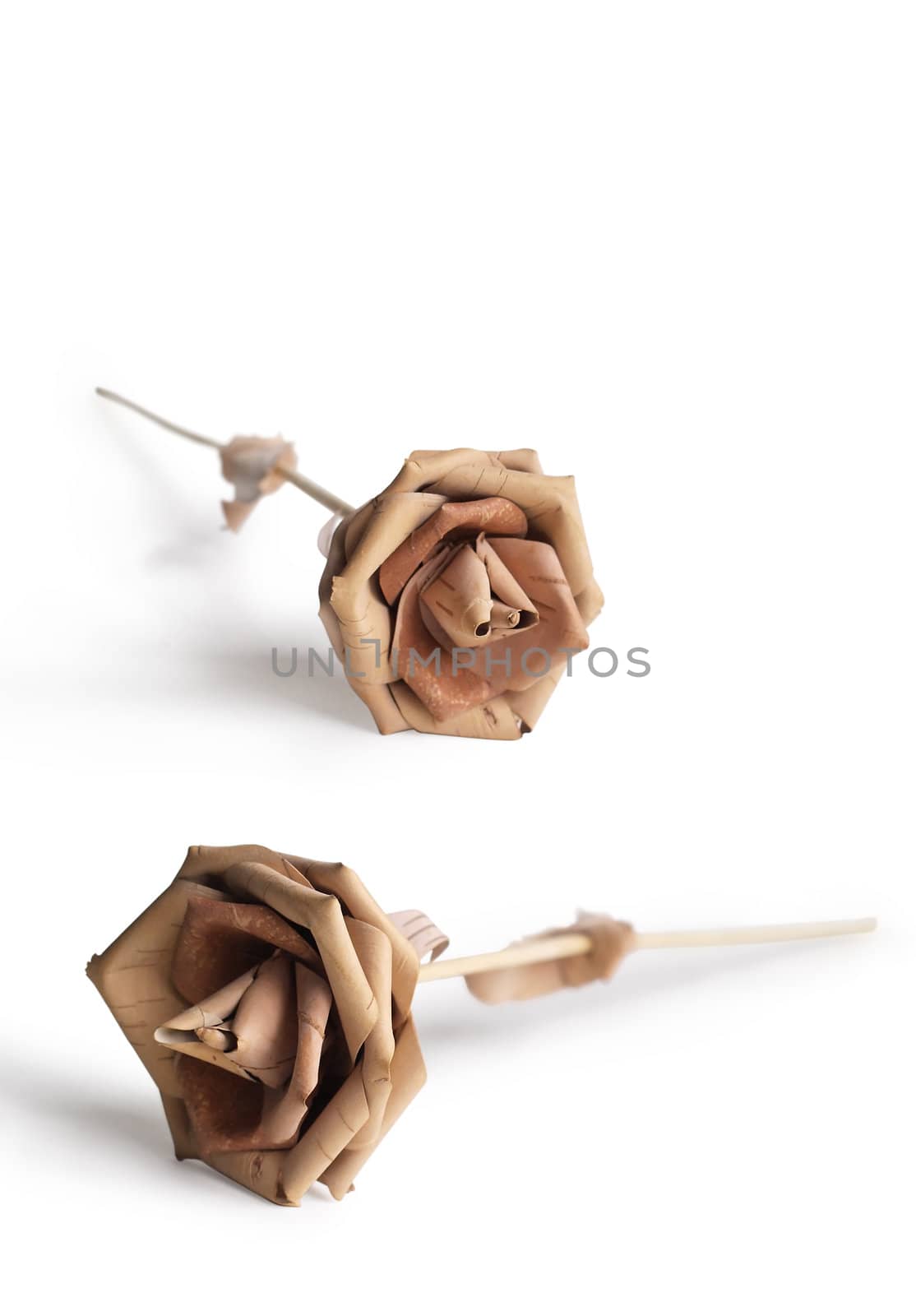 Rose made of a birch bark on a white