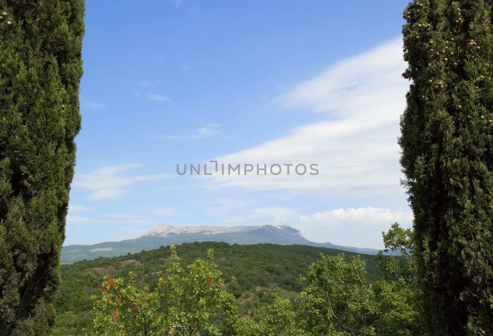 Crimean mountains with effective the sky and clouds. In a natural framework from firs