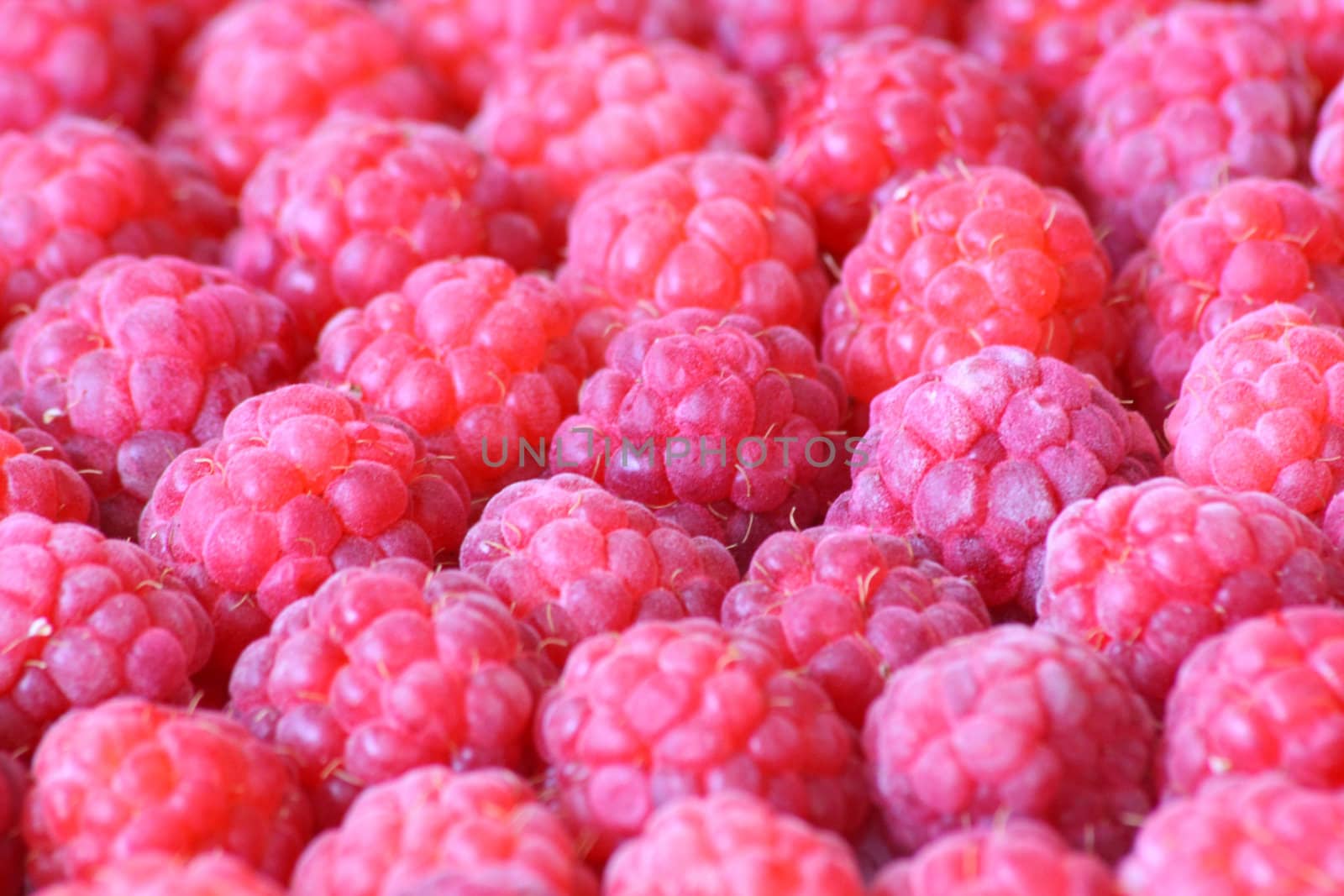 Close up of the pink raspberry for the background