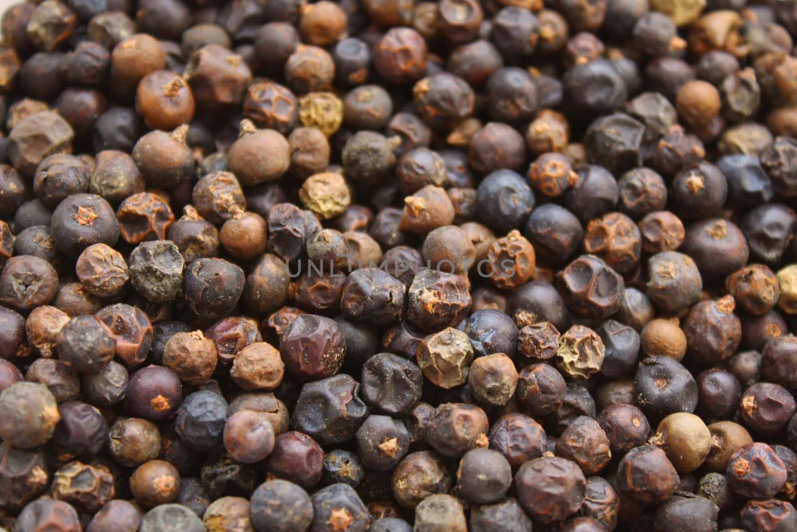 Close up of the dried juniper berries.