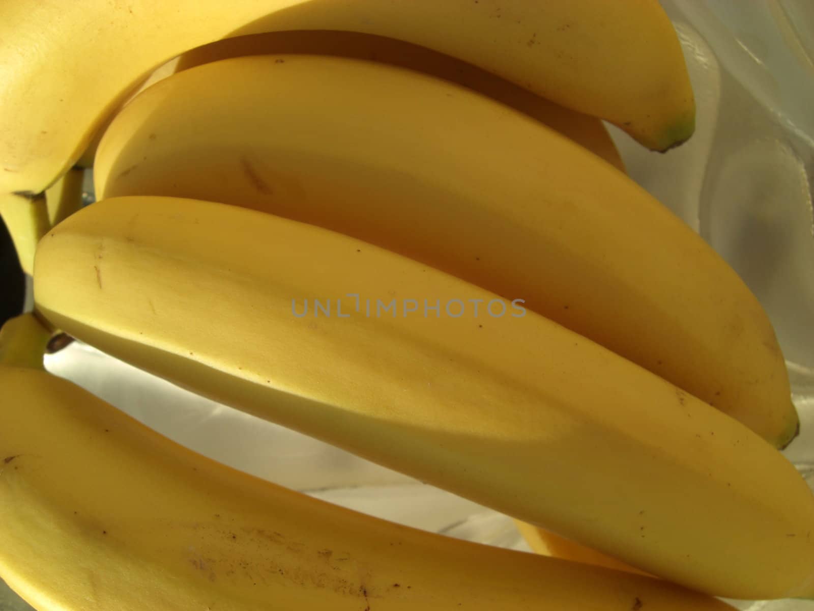 bunch of bananas by Gabriele