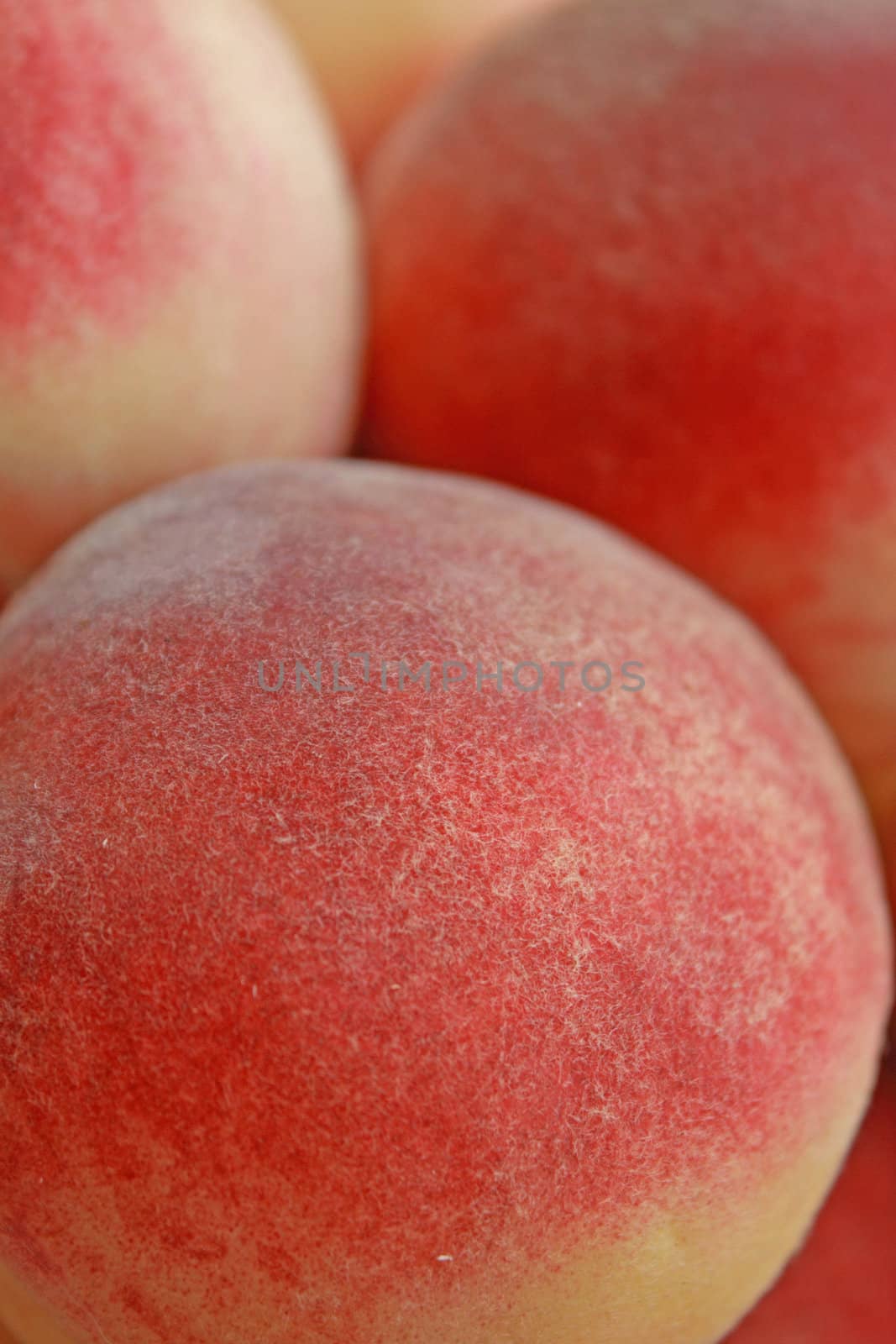 Close up of the fresh ripe peaches.