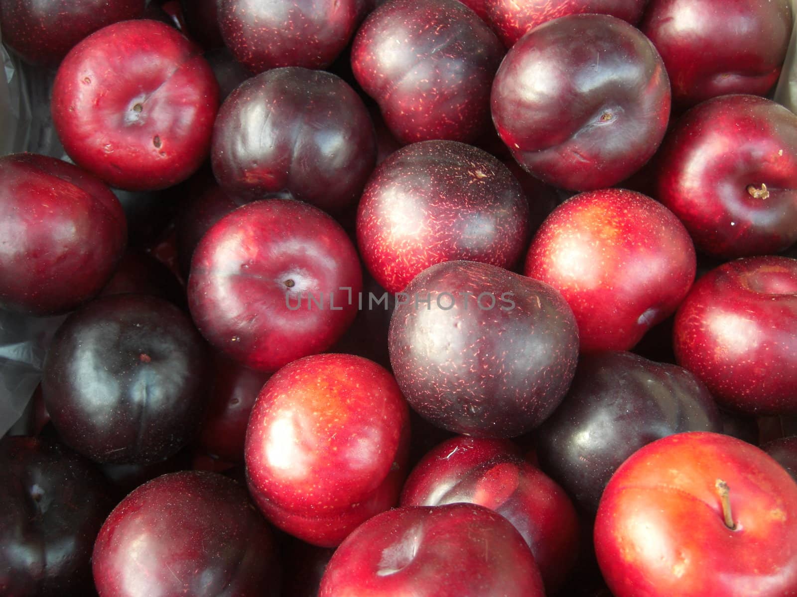 greengage plums, prunus domestica, prunus italica, - background image