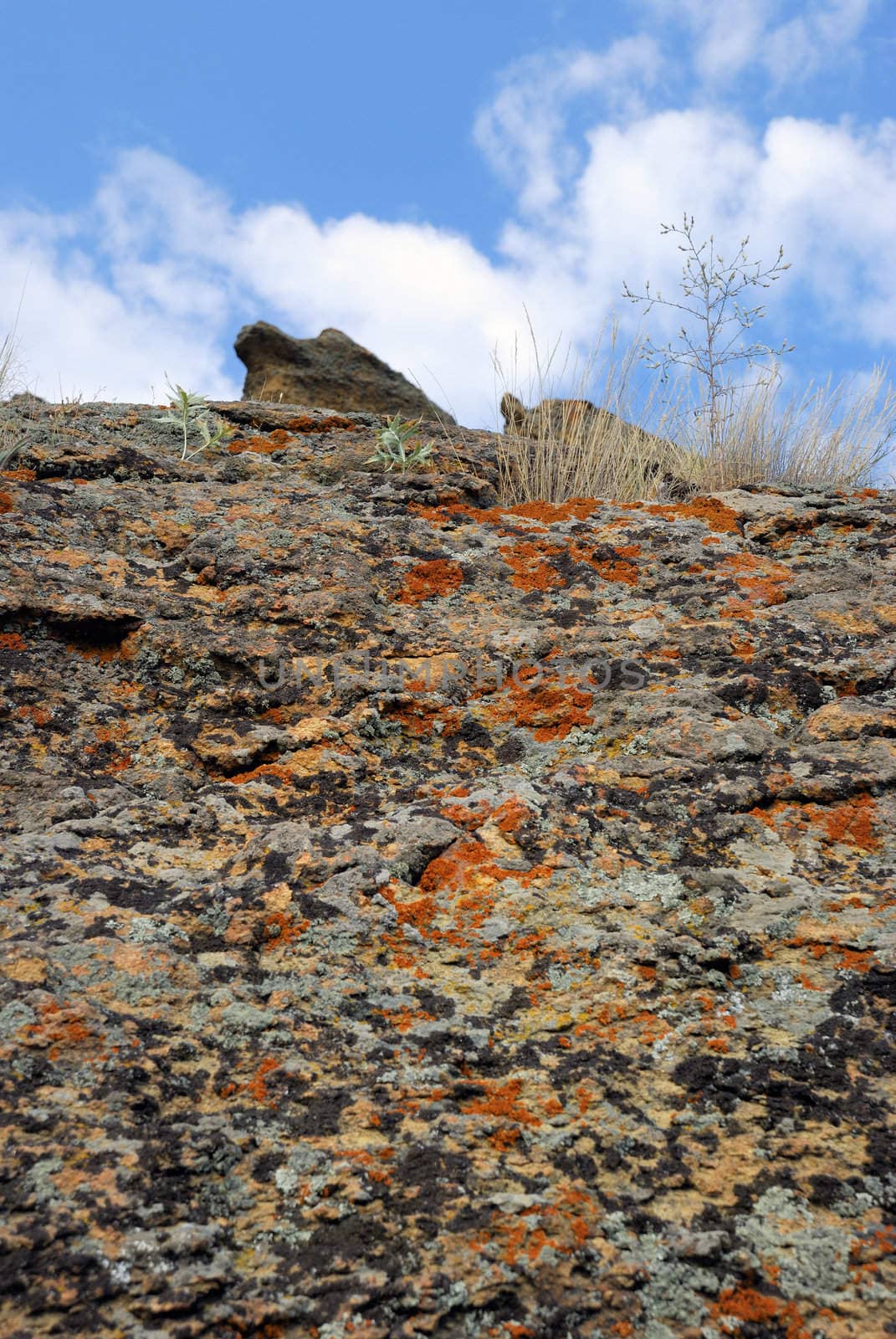 Fragment of picturesque mountain. Impressive breed of mountains of the Crimean peninsula