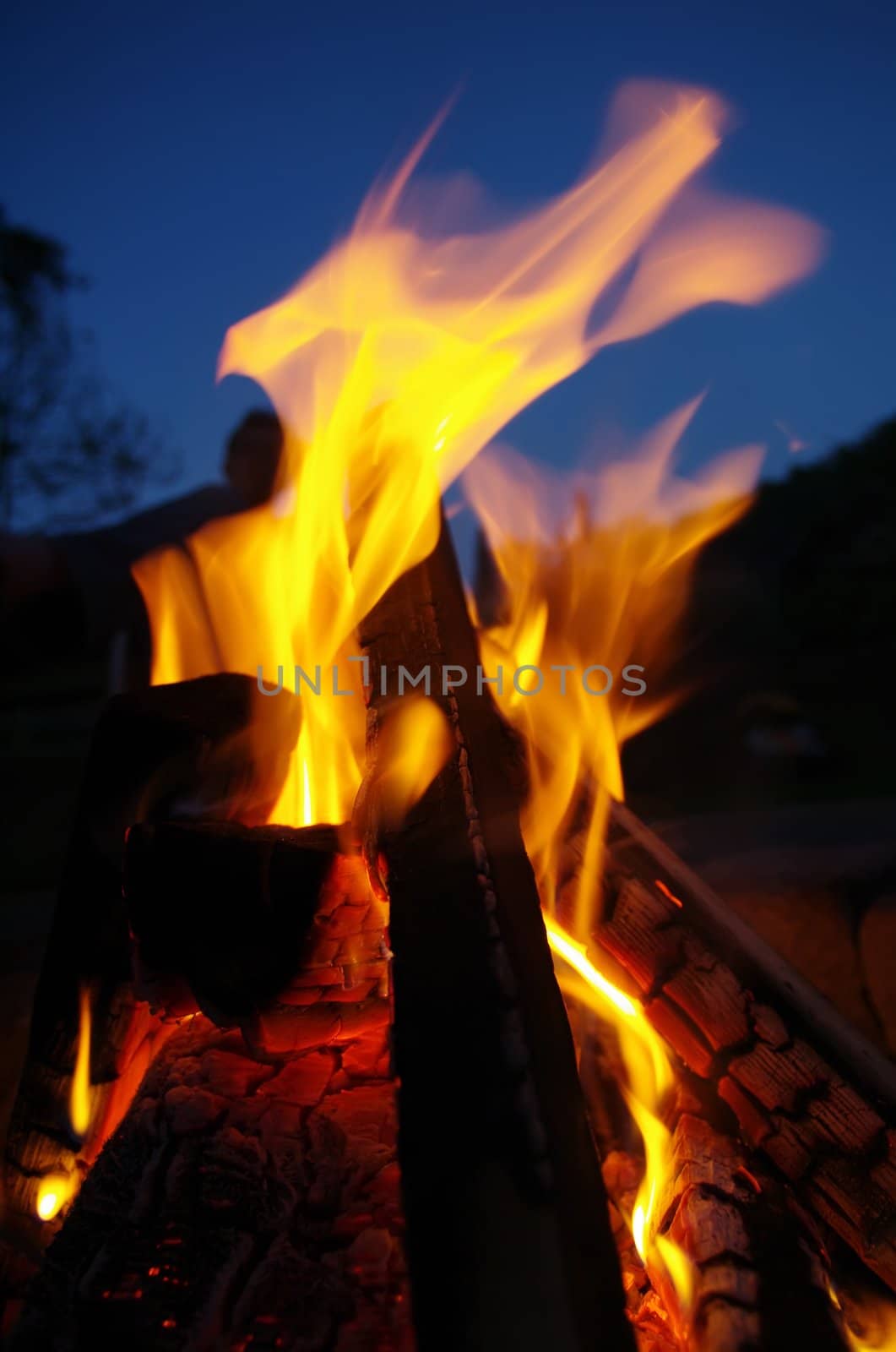 a nice campfire burning outside in summer