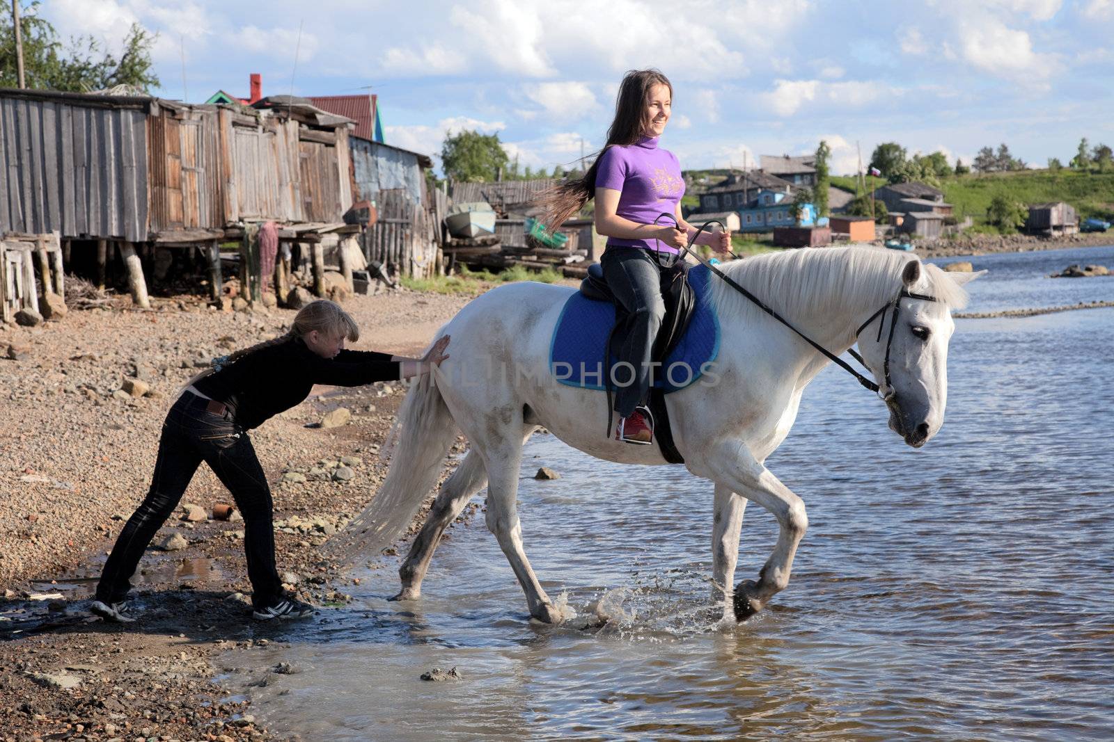 Female lead a horse to swim. Summer landscape.