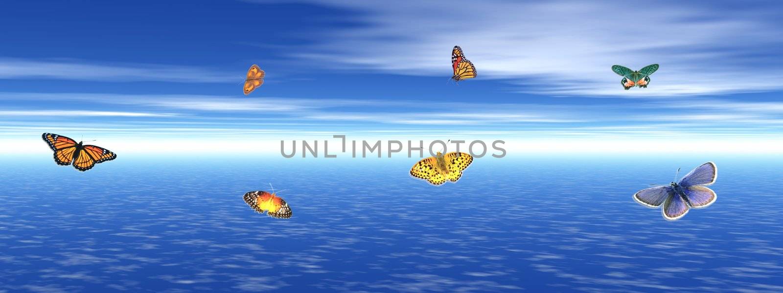 Many colored butterflies dansing upon the quiet blue ocean water by cloudy weather